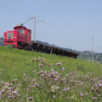 © Erik Schneider 0424_85_IRR-Exk-Kipp5