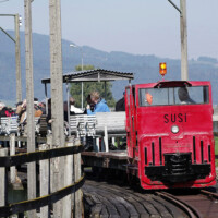 © Erik Schneider 0424_85_IRR-Exk-Susi1