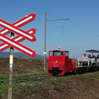 © Erik Schneider 0424_85_IRR-Exk-Susi2