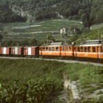 Der Extrazug mit den Triebwagen 3 + 1 im Rebberg oberhalb Aigle Extragzug im Rebberg Aigle ASD