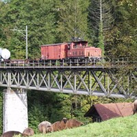 © Thomas Hollenstein
Der Tem III 354 befährt mit ihrem Überfuhrgüterzug gerade die Weissenbachbrücke bei Neuthal. Tem III 354