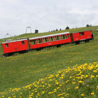 © Peter Hürzeler
Frühlingswiesen säumen unseren Fotozug bei der Fahrt nach Rigi Staffelhöhe. Fahrt nach Rigi Staffelhöhe
