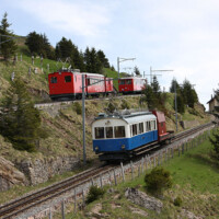 © Peter Hürzeler
Viel Betrieb auf der Rigi, unsere beiden Fotozüge gefolgt von einem Regelzug. Fotozüge + Regelzug
