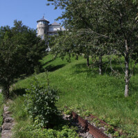 © Peter Hürzeler
Letzte Überreste der BrMB auf dem Weg zur Endstation Axenfels. Überreste der BrMB